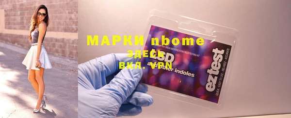 прущие грибы Беслан