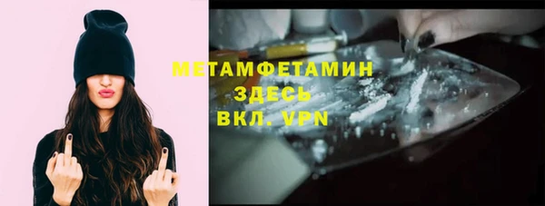 прущие грибы Беслан