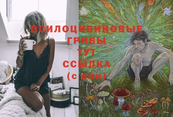 ешки Новозыбков