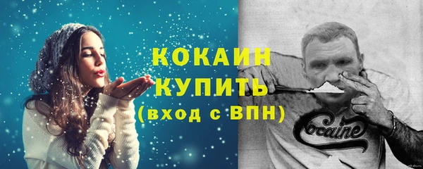 ешки Новозыбков
