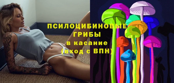 ешки Новозыбков