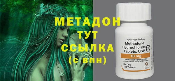 прущие грибы Беслан