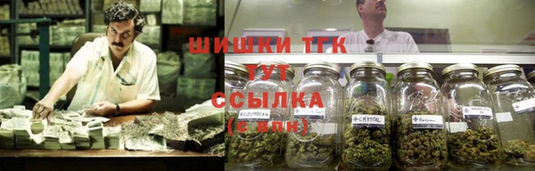 эйфоретик Новодвинск