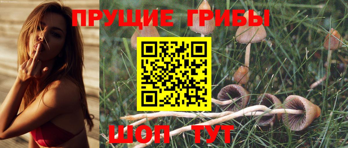 Галлюциногенные грибы прущие грибы Череповец