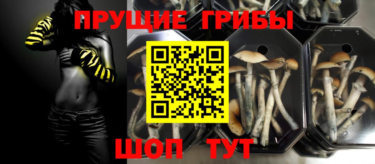 Галлюциногенные грибы мицелий  Вход с VPN  Череповец 