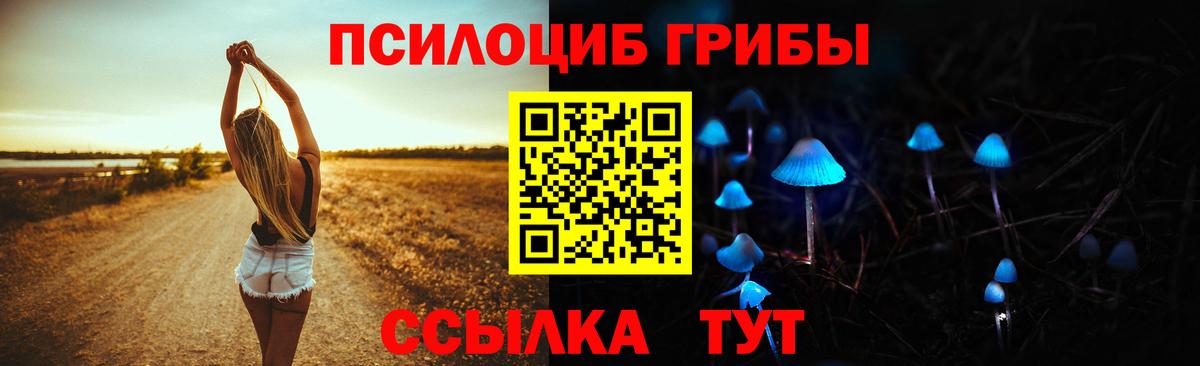 Псилоцибиновые грибы GOLDEN TEACHER Череповец